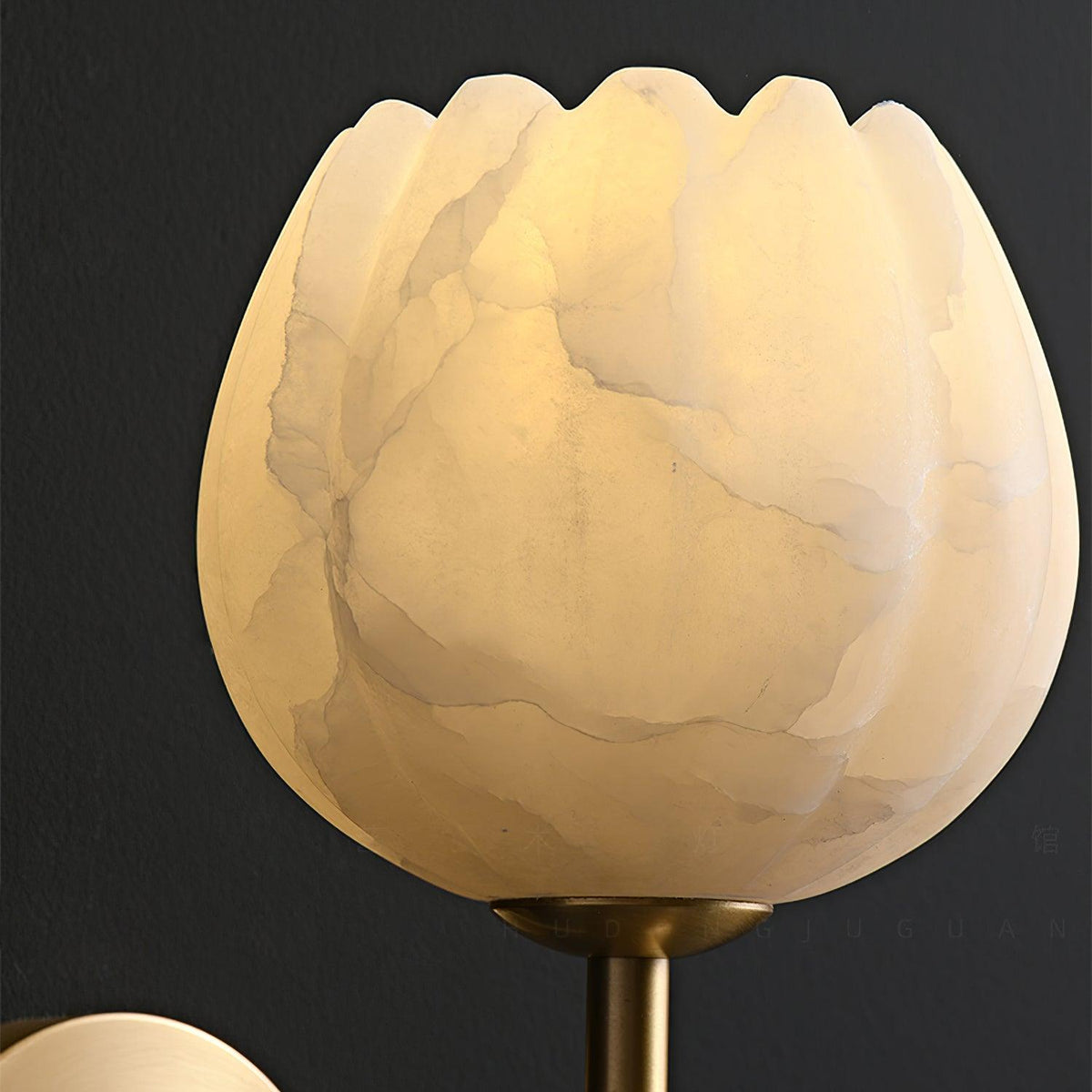 Alabaster Flower Wall Sconce, Brass or Black Bedside Light