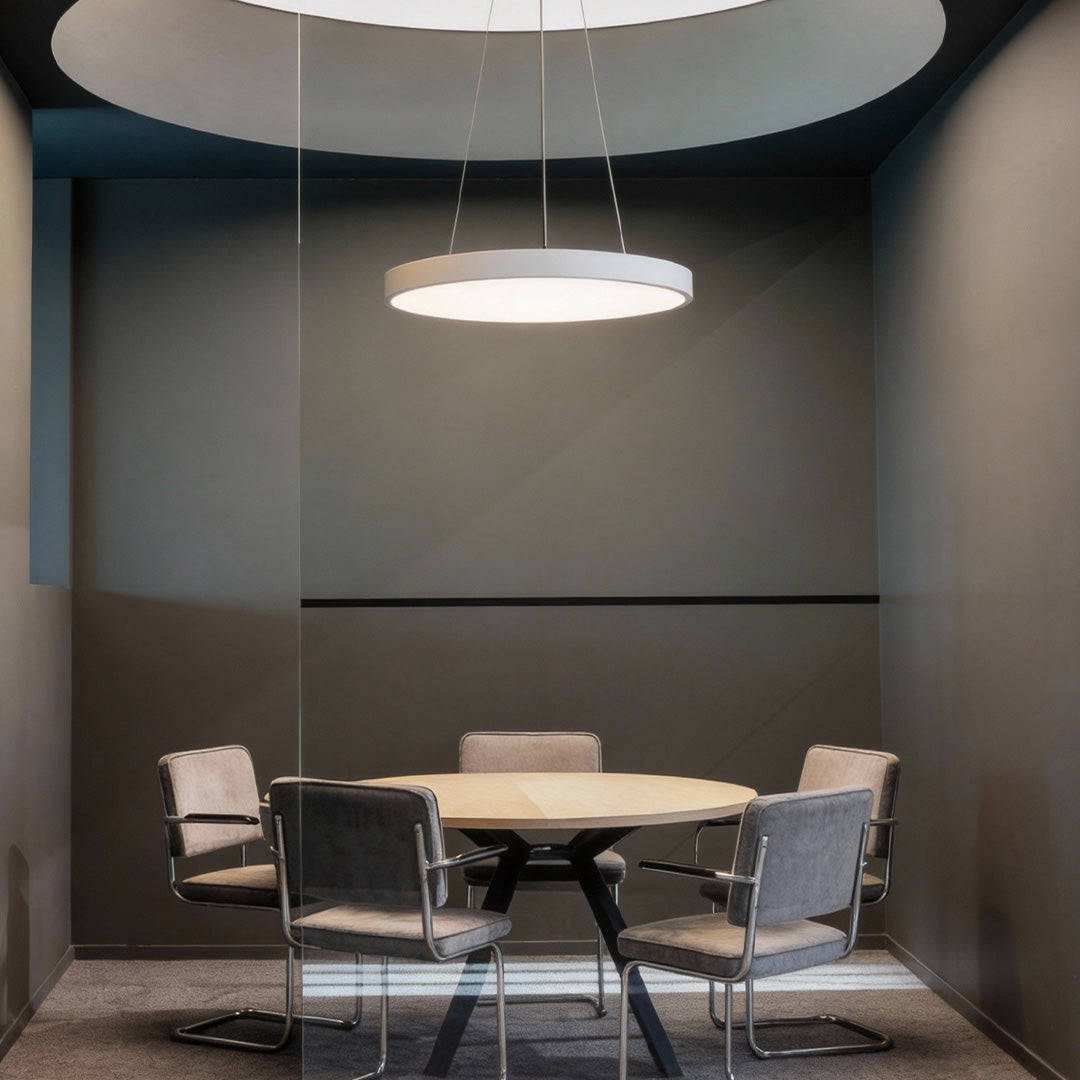 Round LED Ring Pendant Light, Modern Dimmable Ceiling Light
